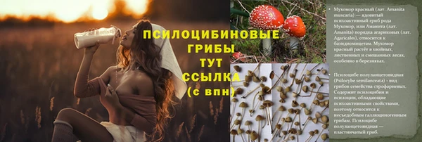скорость mdpv Нефтекумск