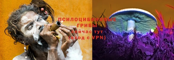 винт Наволоки