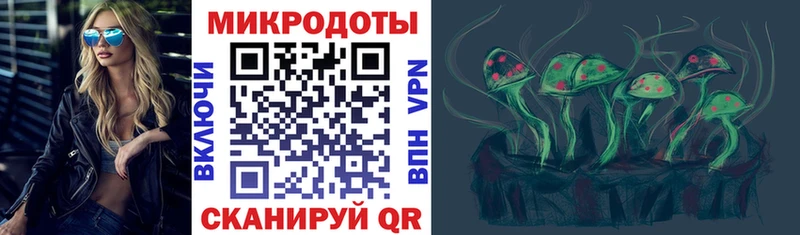 Псилоцибиновые грибы мухоморы  ОМГ ОМГ ONION  Слюдянка  цены наркотик 